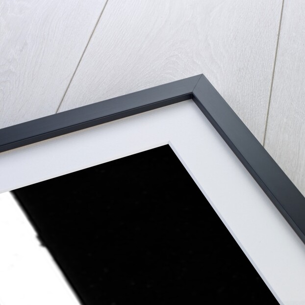 Mick Jagger promo shots (4) by Tim Dry